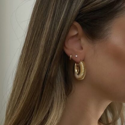 Coil Earrings